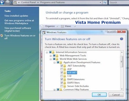 Windows Vista Home Premium Romanacci